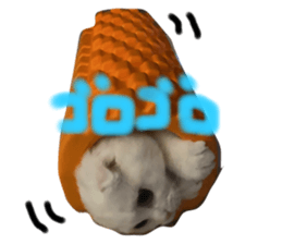 375540392