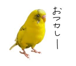 375543572