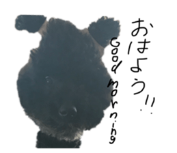 375543578