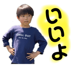375562811