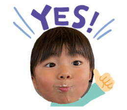375562819