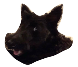 375573211