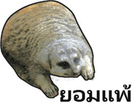 375622541