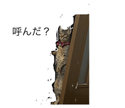 375663269