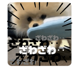 375674518