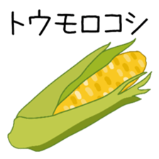 375679025