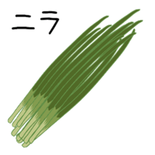 375679035