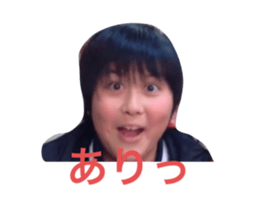 375681288