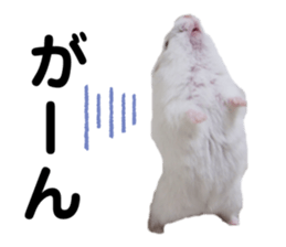 375695261