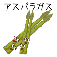 375747924
