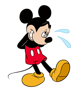 ลายที่ 29