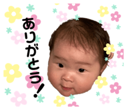 375802250