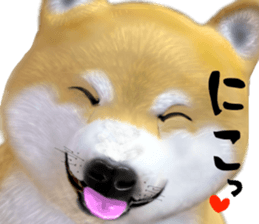 375816379