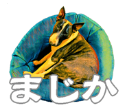 375823886