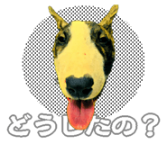 375823889