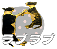 375823903