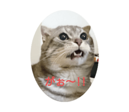 375889542
