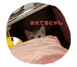 375952537