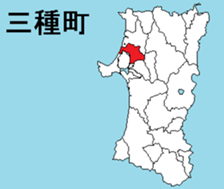 375960494