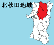 375960504