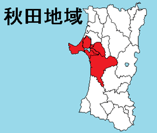 375960506