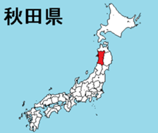 375960509
