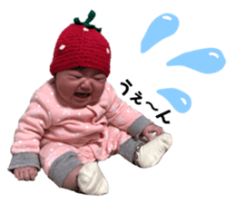 375982426