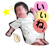 375994168