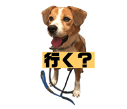 375994219
