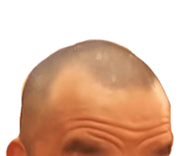 376009060