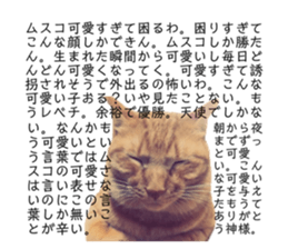 376069317