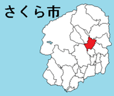 376076177