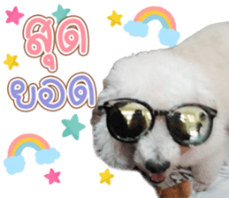 376124199