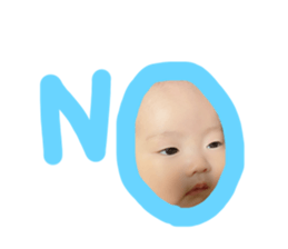 376172016