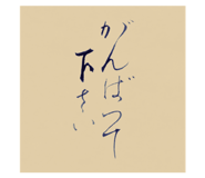 376193596