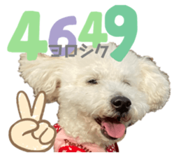 376195878