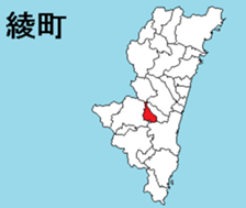 376209810