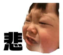 376240756