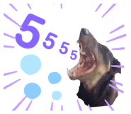 376253196