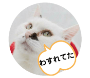376266614