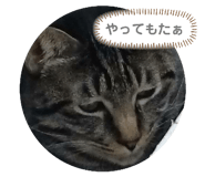 376266618