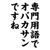 376311699