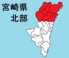 376335224