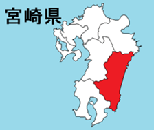 376335228
