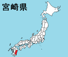376335229
