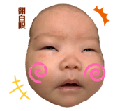 376342538