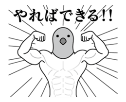 376348388