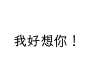 376370543