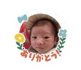 376385692