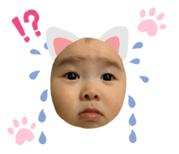 376387734